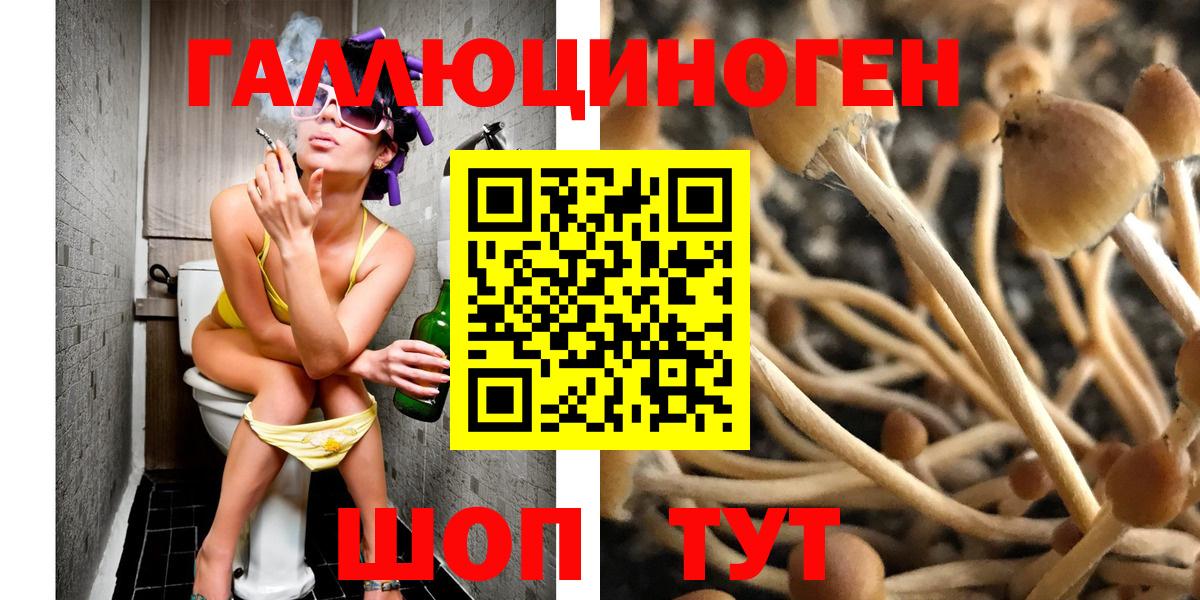 Псилоцибиновые грибы MAGIC MUSHROOMS  наркошоп  Кольчугино  Вход с VPN 