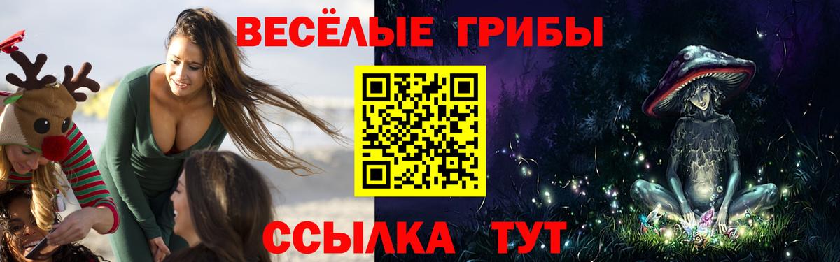 Псилоцибиновые грибы мухоморы Кольчугино